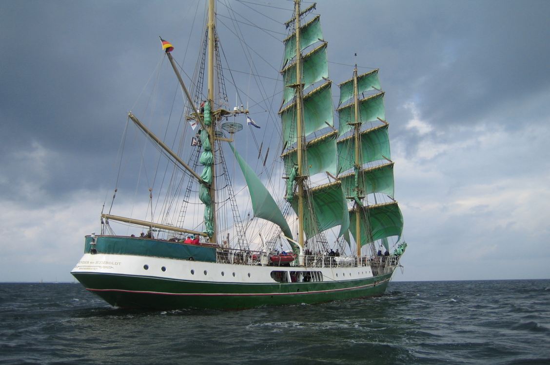 Alexander v. Humboldt